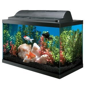 Tank and Hood Combo Aquarium
