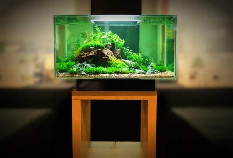 Chovatelský tank 2