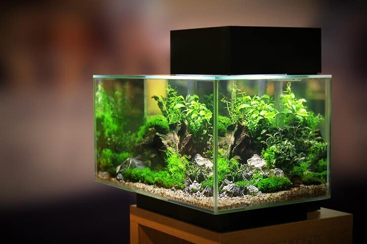 Chovatelský tank