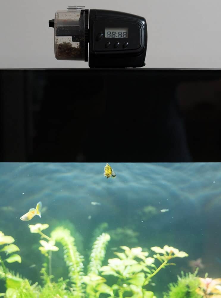 Rotující krmítka pro ryby