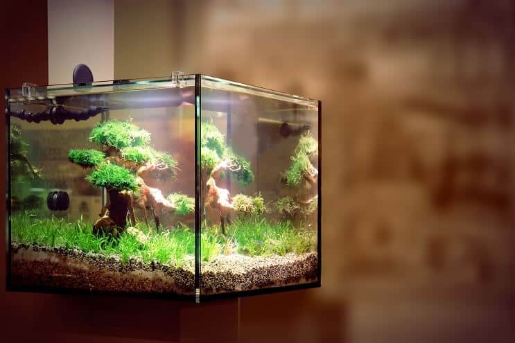 LED akvarijní osvětlení