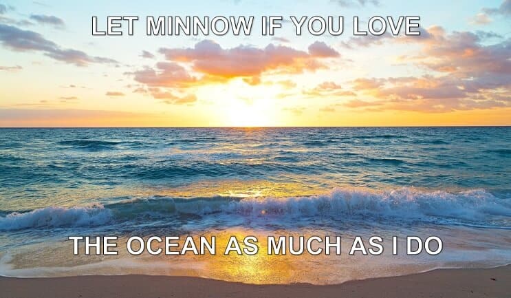 Nechte Minnow