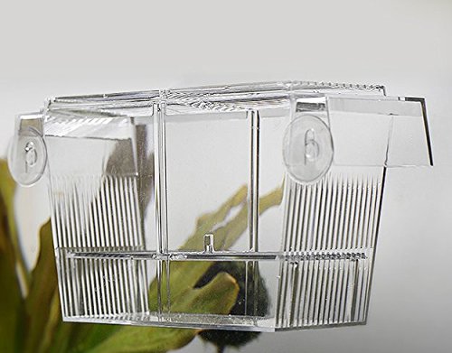 PETS ISLAND Akvarijní ryby Chovné boxy Double Guppies Hatching Inkubátor Izolační box (7,7 palce)