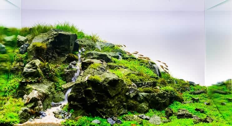 Akvárium Aquascape
