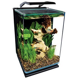Malé akvárium ideální pro pracovní desku Paludarium
